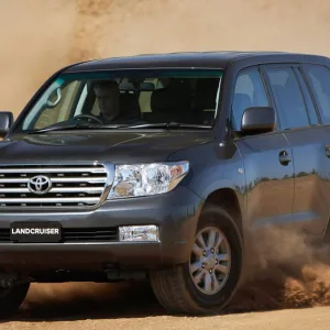 Evening Desert Safari With Desert King Tourism in Dubai | Dubai Travel Tours Evening Desert Safari With Desert King Tourism at Desert King Tourism