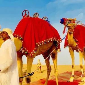 Evening Desert Safari in Dubai | Dubai Travel Tours Evening Desert Safari at Desert King Tourism