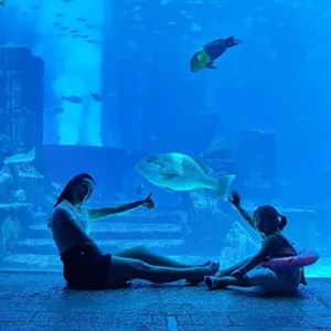 Explore Dubai’s Lost Chambers Aquarium: Tickets For One, Two, Or Four | Dubai Travel Tours Explore Dubai’s Lost Chambers Aquarium: Tickets For One
