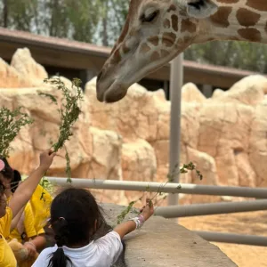 Future Heroes Summer Camp: 1 Day To 8 Weeks Of Learning & Fun For Kids in Abu Dhabi | Dubai Travel Tours Future Heroes Summer Camp: 1 Day To 8 Weeks Of Learning & Fun For Kids at Emirates Park Zoo & Resort