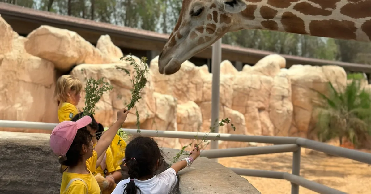 Future Heroes Summer Camp: 1 Day To 8 Weeks Of Learning & Fun For Kids in Abu Dhabi | Dubai Travel Tours Future Heroes Summer Camp: 1 Day To 8 Weeks Of Learning & Fun For Kids at Emirates Park Zoo & Resort