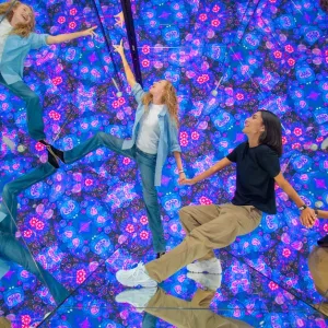 Get 30% Off Ticket For One Person To House Of Hype-dubai Mall at House of Hype - Dubai Mall