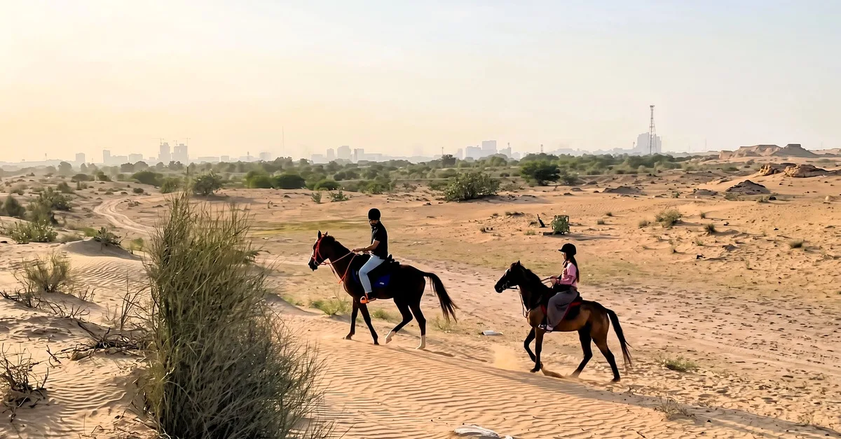 Horse Riding Adventures In… in Dubai | Dubai Travel Tours Horse Riding Adventures In… in Dubai | Dubai Travel Tours - Image 4