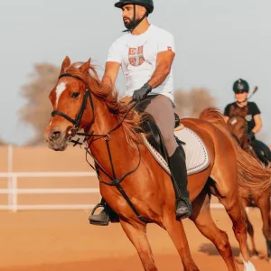 Horse Riding Tours Arena Rides Pony Rides And Training Sessions in Sharjah & N. Emirates | Dubai Travel Tours Horse Riding Tours Arena Rides Pony Rides And Training Sessions at Mleiha National Park
