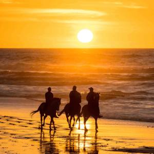 Horseback Ride at Le Ranch des Dunes, Dakhla – Must-see attractions Horseback Ride at Le Ranch des Dunes
