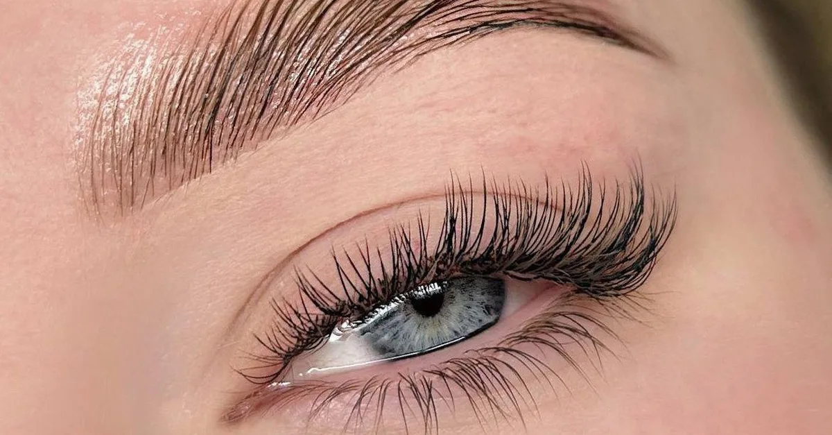 Lashes Extension W/W/O Threading Or Brows Lamination W/W/O Tinting in Dubai | Dubai Travel Tours Lashes Extension W/W/O Threading Or Brows Lamination W/W/O Tinting at Blossom and Berry Beauty