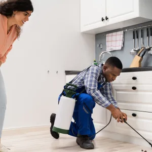Pest Control Service – General in Dubai | Dubai Travel Tours Pest Control Service - General at Royal Urban Cleaning Services