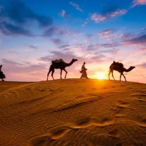 Premium Desert Safari With Vip Transfer, Food, And Live Shows in Dubai | Dubai Travel Tours Premium Desert Safari With Vip Transfer