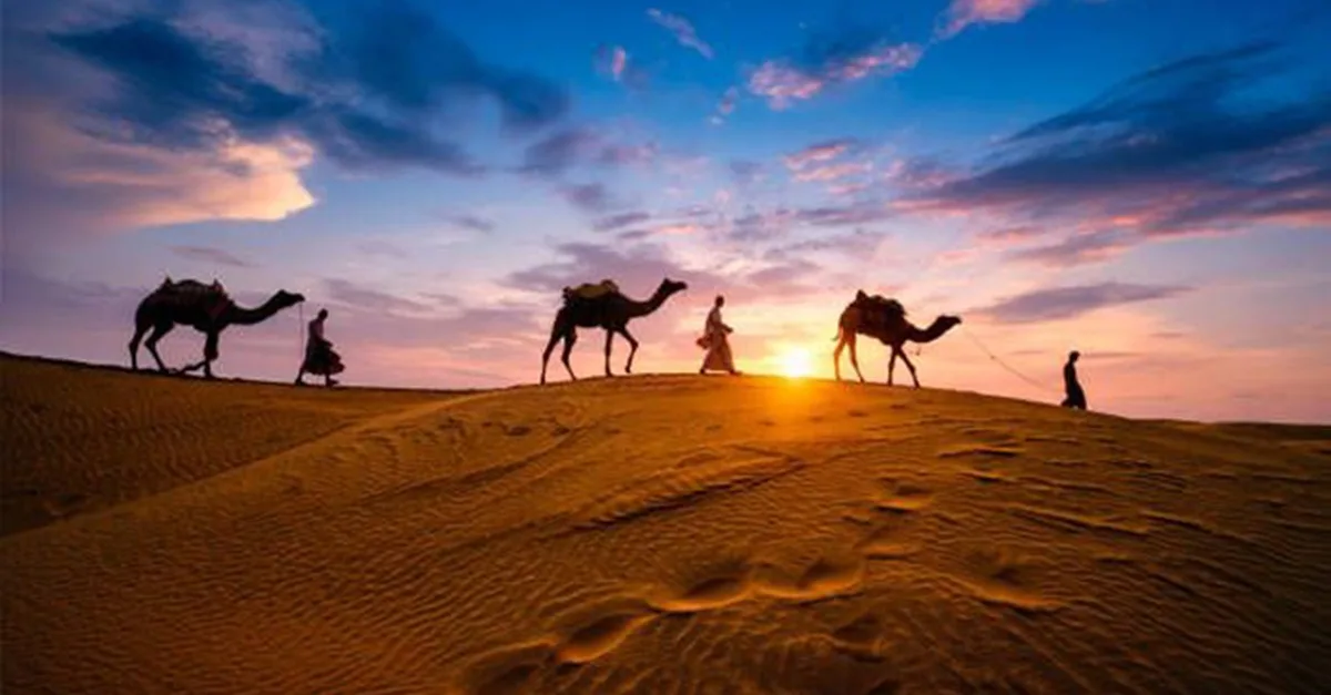 Premium Desert Safari With Vip Transfer, Food, And Live Shows in Dubai | Dubai Travel Tours Premium Desert Safari With Vip Transfer