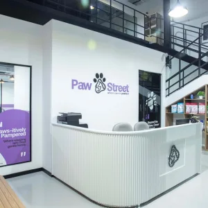 Professional Dog & Cat Grooming For All Sizes in Dubai | Dubai Travel Tours Professional Dog & Cat Grooming For All Sizes at Paw Street