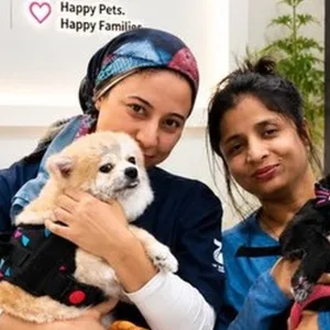 Professional Pet Styling And Comprehensive Hygiene Sessions in Sharjah & N. Emirates | Dubai Travel Tours Professional Pet Styling And Comprehensive Hygiene Sessions at Seventh Sense Veterinary Clinic