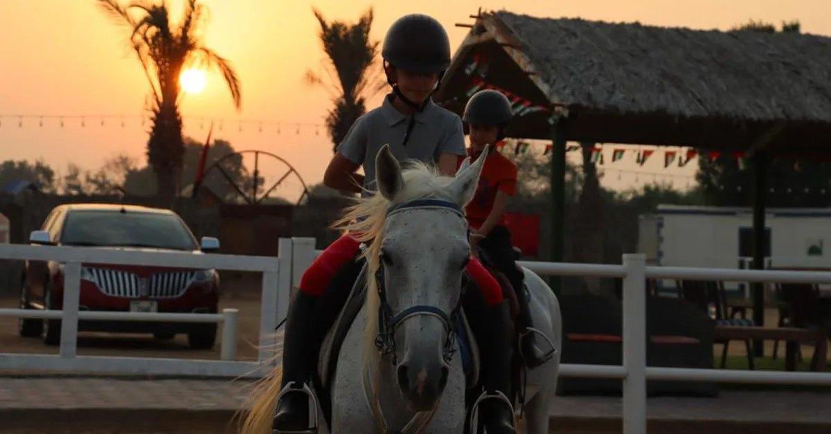 Ride Through Desert Beauty With Horseback Hacks & Arena Lessons in Dubai | Dubai Travel Tours Dubai