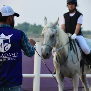 Ride Through Desert Beauty With Horseback Hacks & Arena Lessons in Dubai | Dubai Travel Tours Ride Through Desert Beauty With Horseback Hacks & Arena Lessons at Al Madam 2 Stables