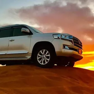 Self-drive Desert Safari Tour With Live Entertainment