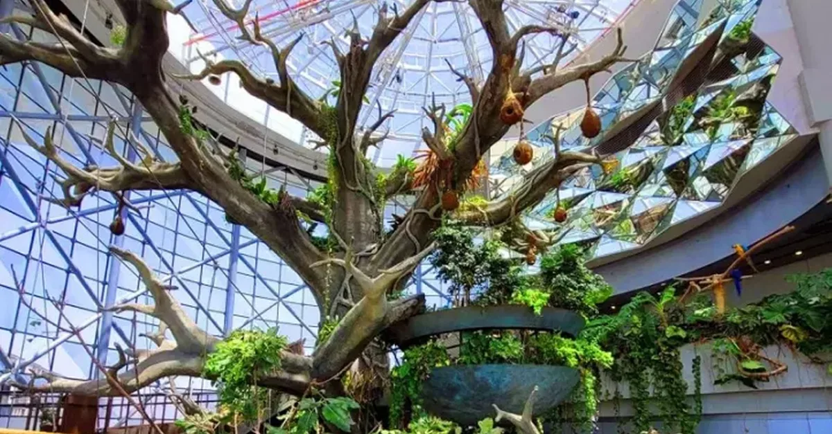 Skip The Line At The Green Planet Dubai: Tropical Rainforest Adventure in National Deal | Dubai Travel Tours National Deal