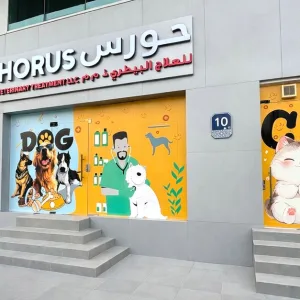 Small Cat/Dog, Medium Dog Or Large Dog Full Grooming in Abu Dhabi | Dubai Travel Tours Small Cat/Dog