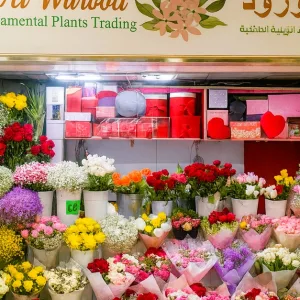 Stunning Choice Of 12,18, 24, 50 Or 100 Rose Bouquets In Your Favorite Color in Dubai | Dubai Travel Tours Stunning Choice Of 12