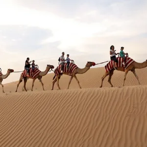 Tour - Bike at Desert Safari Dubai with Buffet Dinner