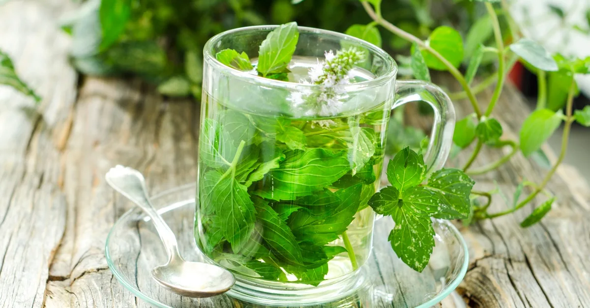 Unlock The Secrets Of Herbs With Master Herbalist Course in National Deal | Dubai Travel Tours Unlock The Secrets Of Herbs With Master Herbalist Course at Alpha Academy