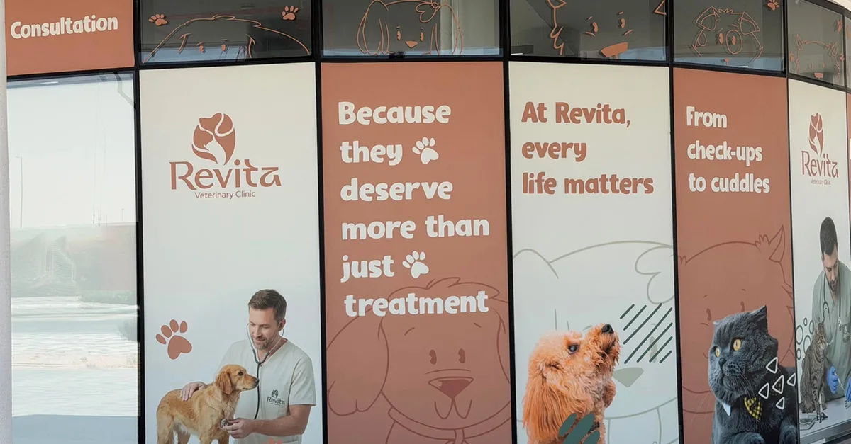 Vet Services: Puppy/Kitten Vaccinations, Cat Spay/Neuter, Dog Neuter in Dubai | Dubai Travel Tours Dog Neuter at Revita Vet Clinic