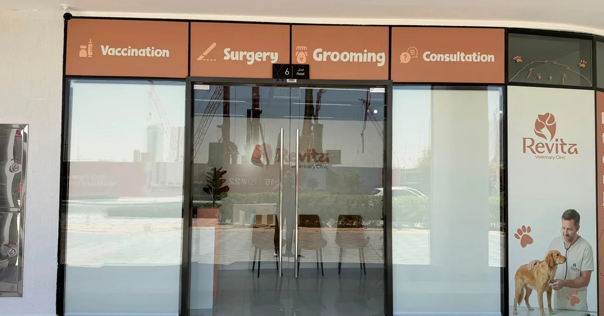 Vet Services: Puppy/Kitten Vaccinations, Cat Spay/Neuter, Dog Neuter in Dubai | Dubai Travel Tours Dubai