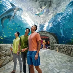 Yas Island Theme Park Adventures at Journey Wise Tourism LLC