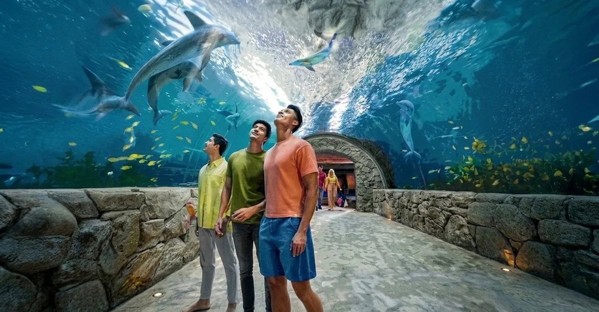 Yas Island Theme Park Adventures in Dubai | Dubai Travel Tours Yas Island Theme Park Adventures at Journey Wise Tourism LLC